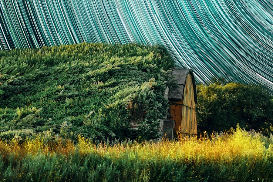 Photo trendy color